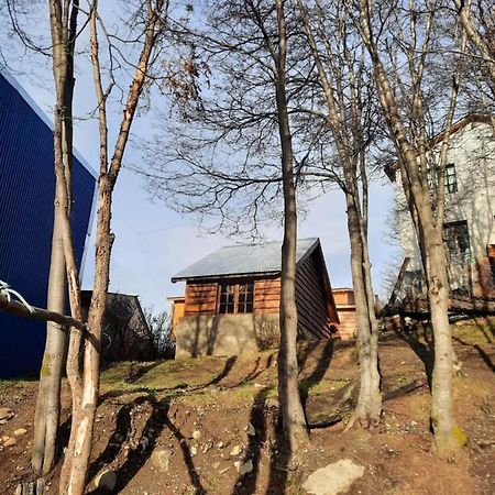Cabana Los Morros Ushuaia Dış mekan fotoğraf