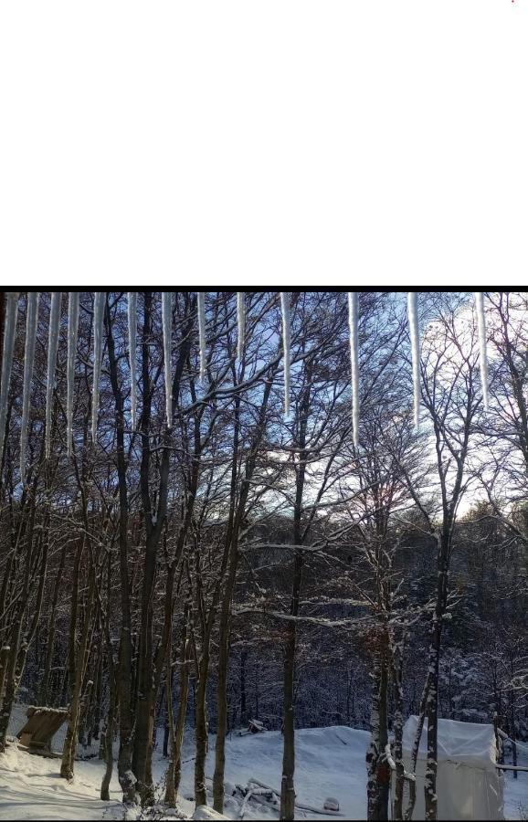 Cabana Los Morros Ushuaia Dış mekan fotoğraf